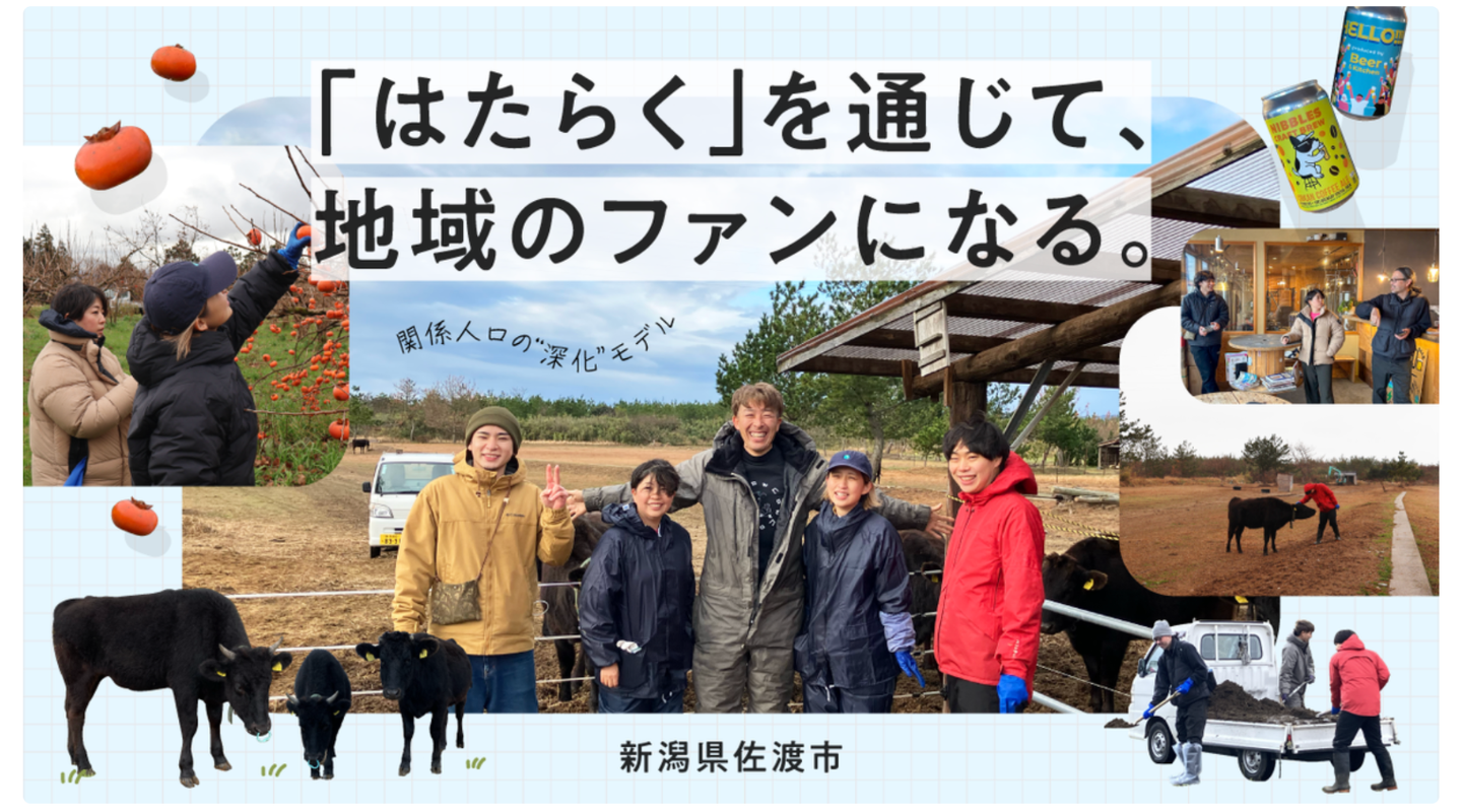 「スポットワーク」を起点とした、佐渡市×タイミー×ADDressによる二地域居住促進モデルの実証